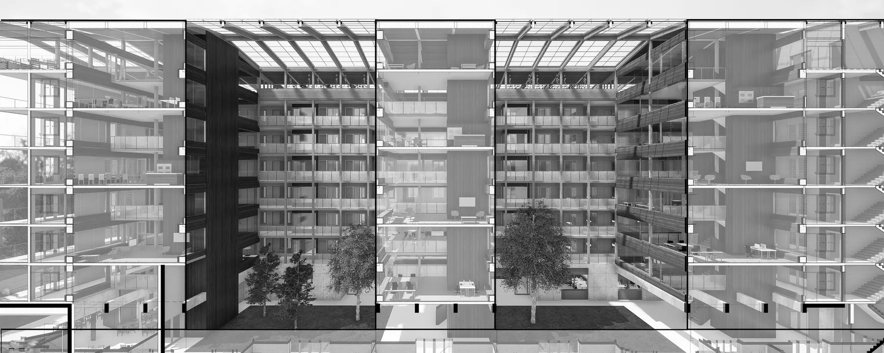 Coupe longitudinale sur l'atrium · 1:100