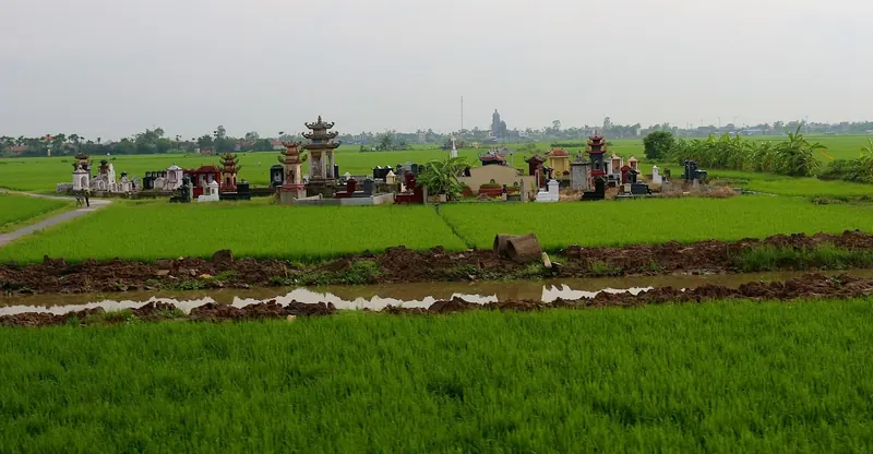 Cimetière au milieu des rizières